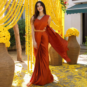 Brown Pleated Pre-Draped Saree